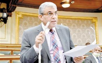 رئيس «قوى النواب»: انضمام مصر لـ«بريكس» يدعم الاقتصاد ويجذب الاستثمارات الأجنبية