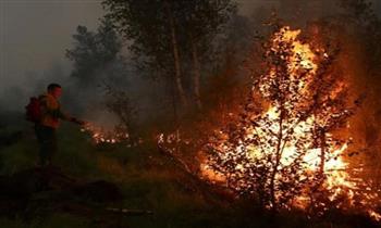 الطوارئ الروسية تكشف مستجدات حرائق الغابات في تركيا