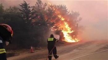 السلطات اليونانية تضبط 79 شخصا على خلفية حرائق الغابات