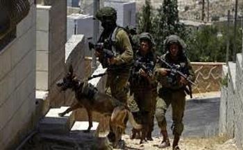 الاحتلال الإسرائيلي يعتدي على مسجد في الخليل