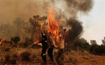 جهود مكثفة لمكافحة حرائق الغابات في اليونان 