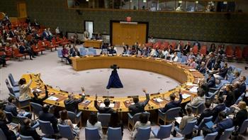 غدا.. جلسة طارئة لمجلس الأمن حول أوضاع قوات حفظ السلام في مالي