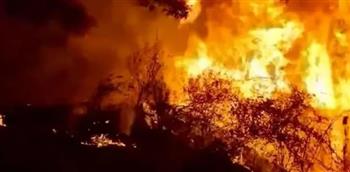 تونس: اندلاع 3 حرائق متزامنة بغابات فرنانة