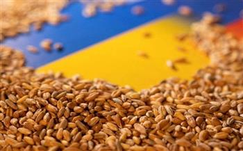 4.2 مليون طن صادرات الحبوب الأوكرانية في الموسم الحالي