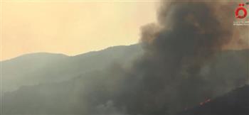 حرائق الغابات تضرب المغرب العربي (فيديو)