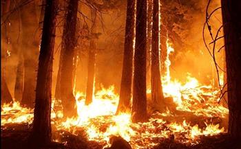 علماء المناخ: حرائق الغابات والموجات الحارة بداية لتغيرات غير مسبوقة تهدد الأرض