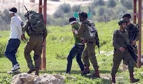 الاحتلال  يعتقل 16 فلسطينيًا في حملة اعتقالات جنوب الضفة