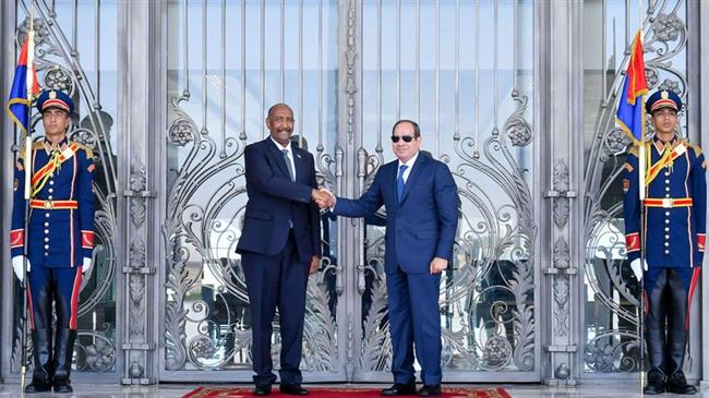 نشاط الرئيس السيسي في أسبوع.. استقبال البرهان ووفد الكونجرس الأمريكي وتوجيهات تحفيز الصناعة الأبرز