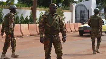 إرهابيو «داعش» ينصبون كمينًا لقوات جيش مالي بالقرب من الحدود مع النيجر