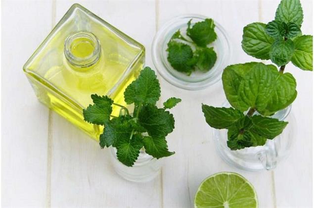 دراسة حديثة تتوصل لفوائد زيت النعناع في تخفيف الألم بعد جراحات القلب