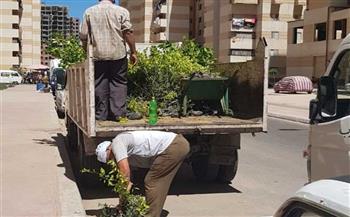 محافظ الإسكندرية: زراعة نحو 200 ألف شجرة بأحياء المدينة