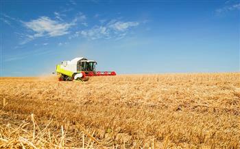 «الفاو»: حجم توريدات الحبوب من روسيا وأوكرانيا سيؤثر على أسعار الأغذية
