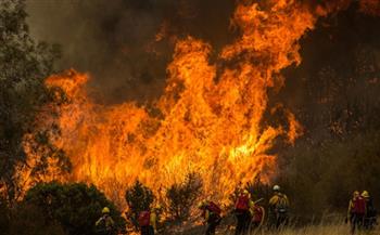 فرق الإطفاء الفرنسية الإسبانية تكافح لإخماد حريق الغابات عند الحدود بين البلدين 