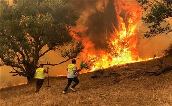 الأمين العام للأمم المتحدة يعزي الجزائر في حرائق الغابات الأخيرة