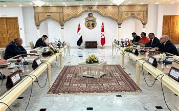  شكري يؤكد دعم مصر لإجراءات وجهود «قيس سعيد» الرامية إلى بناء مستقبل أفضل للشعب التونسي