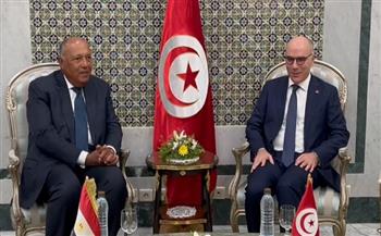 وزير الخارجية يعقد جلسة مباحثات مع نظيره التونسي