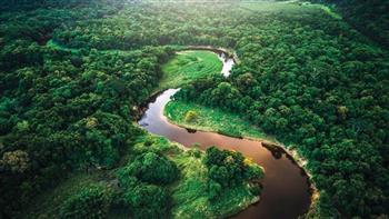 دول أمريكا الجنوبية تقرر إنشاء تحالف لمكافحة إزالة غابات الأمازون