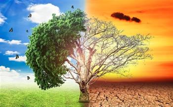 أستاذ الدراسات البيئية: التغيرات المناخية تهدد الأمن الغذائي العالمي