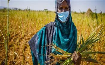 الولايات المتحدة تقر 15 مليون دولار لدعم الغذاء بين النساء وصغار المزارعين الأفارقة