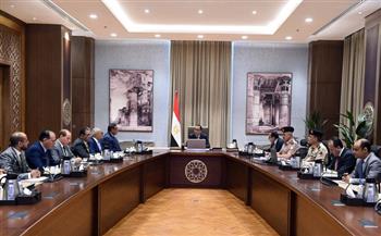 رئيس الوزراء: الدولة تستعد لإطلاق خطة تنموية شاملة في شمال سيناء
