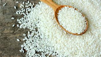 «غرفة الحبوب»: توقعات بانخفاض أسعار الأرز خلال الموسم الحالي 