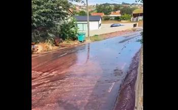 نهر من الخمر.. النبيذ الأحمر يغمر أزقة قرية برتغالية (فيديو)