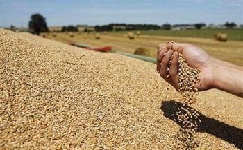 الحكومة تكشف حقيقة عجز منظومة توريد القمح المحلي
