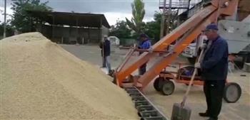 «المفوضية الأوروبية» تدعو 3 دول لاتخاذ موقف بشأن حظر الحبوب الأوكرانية