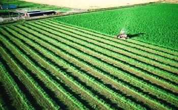 أستاذ اقتصاد زراعي يتوقع وصول المساحة المنزرعة بمصر إلى 10 ملايين فدان