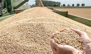 «السلع التموينية» تعلن عن ممارسة عالمية لشراء القمح