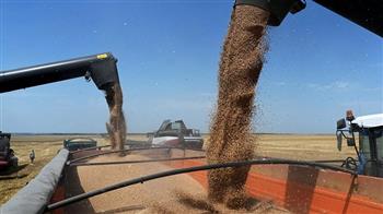 روسيا تدخل قائمة أكبر موردي الحبوب للبرازيل