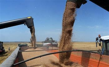 روسيا تدخل قائمة أكبر مصدري القمح إلى البرازيل