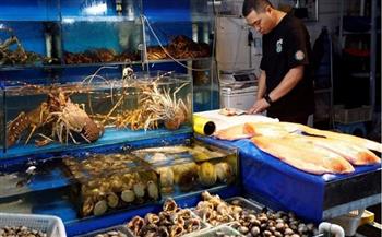 بعد حظر الصين للواردات.. اليابان تخصص 20 مليار ين لدعم أنشطة صيد الأسماك