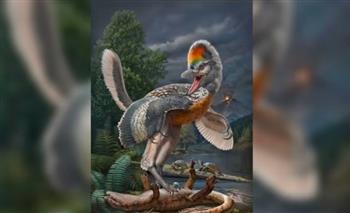 العداء الحزين.. اكتشاف حفرية ديناصور غريب يشبه الطيور بأرجل طويلة