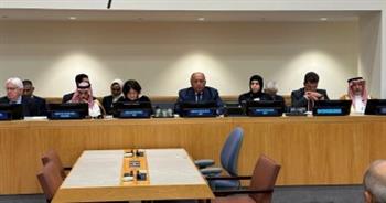 وزير الخارجية يطالب الدول بالوفاء بتعهداتها المالية بشأن التداعيات الإنسانية في السودان