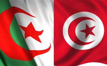 تونس والجزائر تؤكدان حرصهما المشترك على تعزيز التعاون البيني 