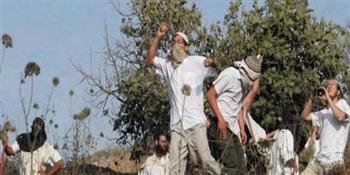 مستوطنون يعتدون على ممتلكات للفلسطينيين شمال غرب نابلس