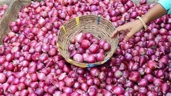 «التجارة »: قرار حظر تصدير البصل يدخل حيز النفاذ أول أكتوبر
