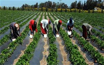 «فاو» تختار مصر لإطلاق برنامج الصحة النباتية الأفريقية 