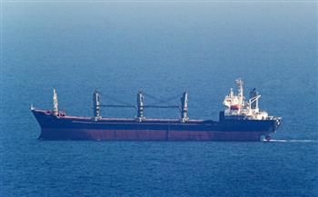 سفينة القمح الأوكراني «أرويات» تصل إسطنبول