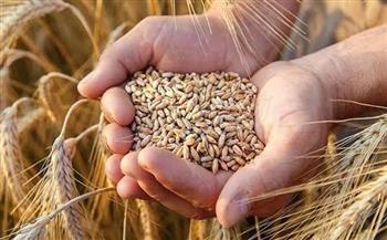وزير التموين: الاحتياطي الاستراتيجي من القمح يكفي لمدة 4.8 شهر 