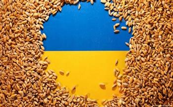 تراجع صادرات الحبوب الأوكرانية 51% في سبتمبر 