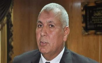 محافظ الوادي الجديد يثمن المساعي الدولية لانضمام مصر إلى الـ«بريكس»