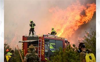 السلطات الجزائرية تواصل إخماد حرائق الغابات فى عدة ولايات وسط وشرقي البلاد