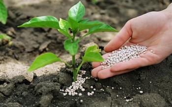 «زراعة الوادي الجديد» تبحث معوقات المزراعين في صرف الأسمدة