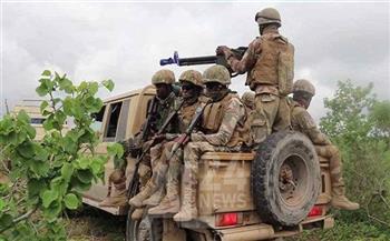 الجيش الصومالي يقبض على عنصرين إرهابيين ويقضى على قيادي آخر