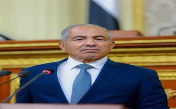 أحمد العوضي: مصر تناصر القضية الفلسطينية.. وستظل الداعم الأكبر لها