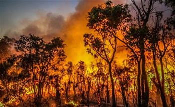 احتدام حرائق الغابات في ولاية أستراليا الغربية والسلطات تحث السكان على إخلاء المنازل 