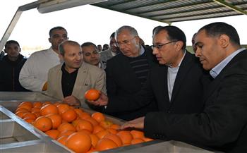 رئيس الوزراء يتفقد محطة شركة "جامكو" لتعبئة البرتقال واليوسفي بالنوبارية
