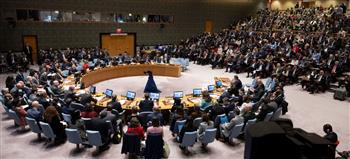 رئيس بعثة الجامعة العربية بالأمم المتحدة: نضغط بقوة في مجلس الأمن لحل القضية الفلسطينية